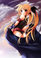 mahou_shoujo_lyrical_nanoha_-_lanyok_00343.jpg